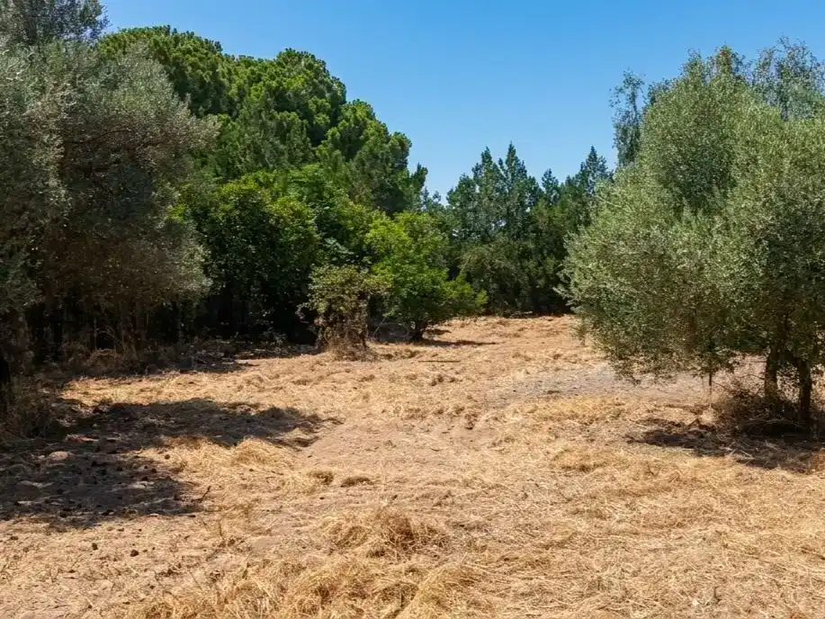 Piso en venta en Carmona con Aire acondicionado, Jardín privado y Parquet
