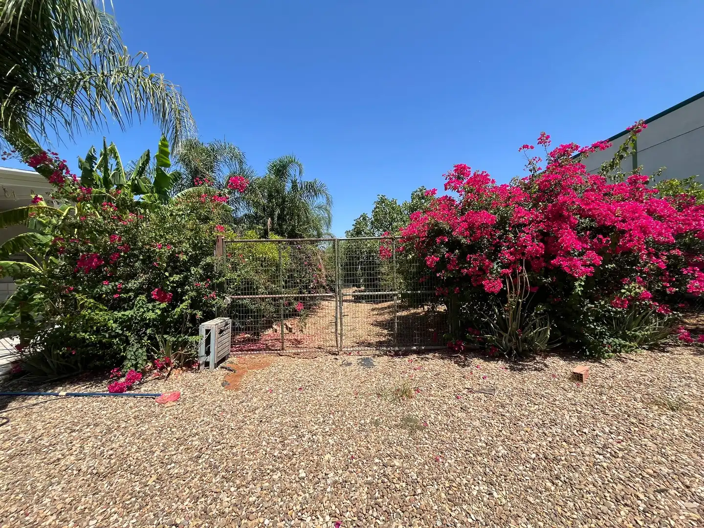 Jardí de Casa o xalet en venda en Fuente Palmera amb Aire condicionat, Calefacció i Jardí privat