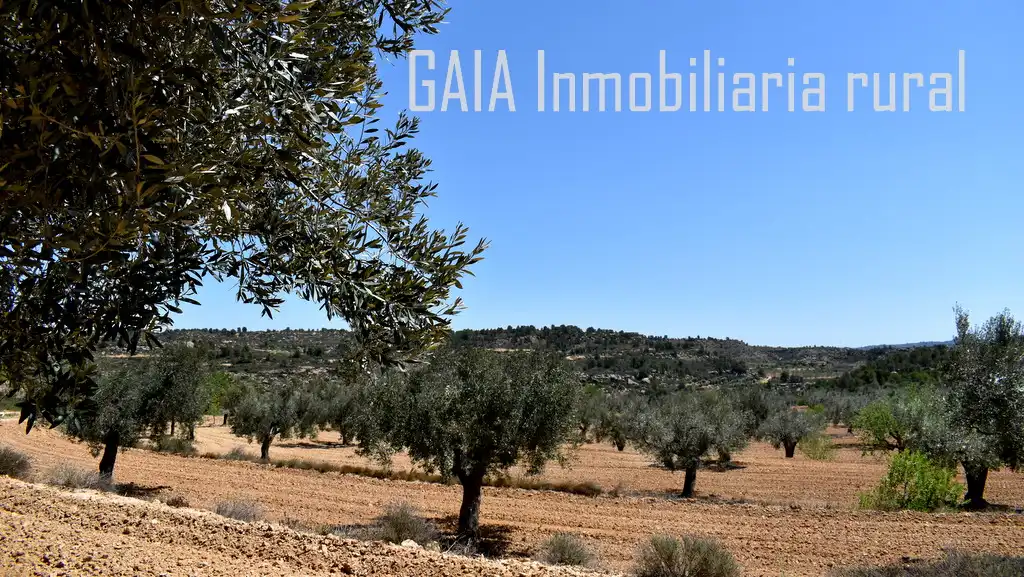 Finca rústica en venta en Mazaleón