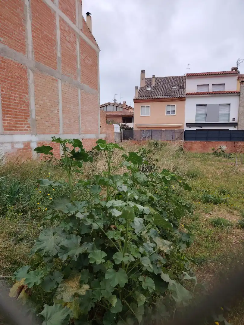 Wohnbaugrundstück zum Verkauf in Carrer Alt Urgell 63, imagen 6