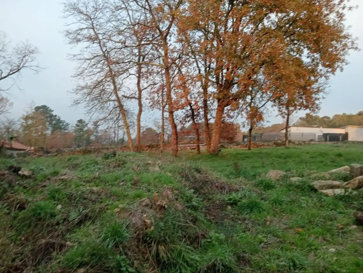 Terreny residencial en venda a San Cibrao das Viñas, imagen 25