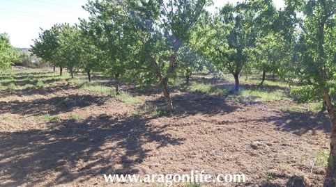 Huerta en Fabara. Al lado del río. 5.574m2. 22.000€, immagine 5