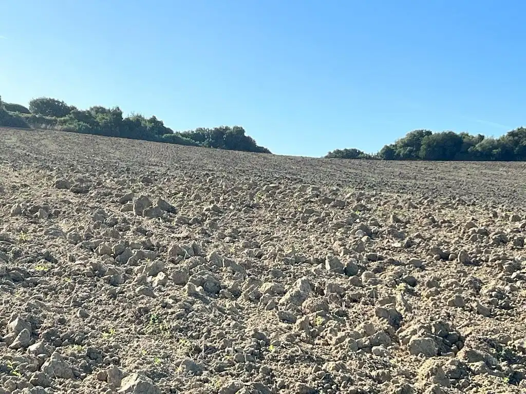 Casa rústica en venda a Vejer, imagen 15