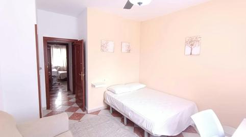 Foto 4 de Piso para compartir en N/a, Sector Sur  - La Palmera - Reina Mercedes,  Sevilla Capital
