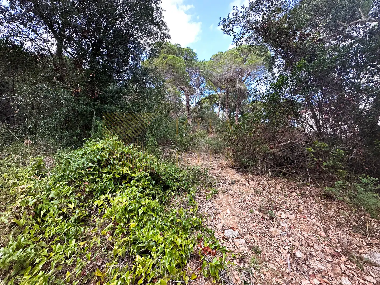 Wohnbaugrundstück zum Verkauf in Carrer de les Alzines 30, imagen 3