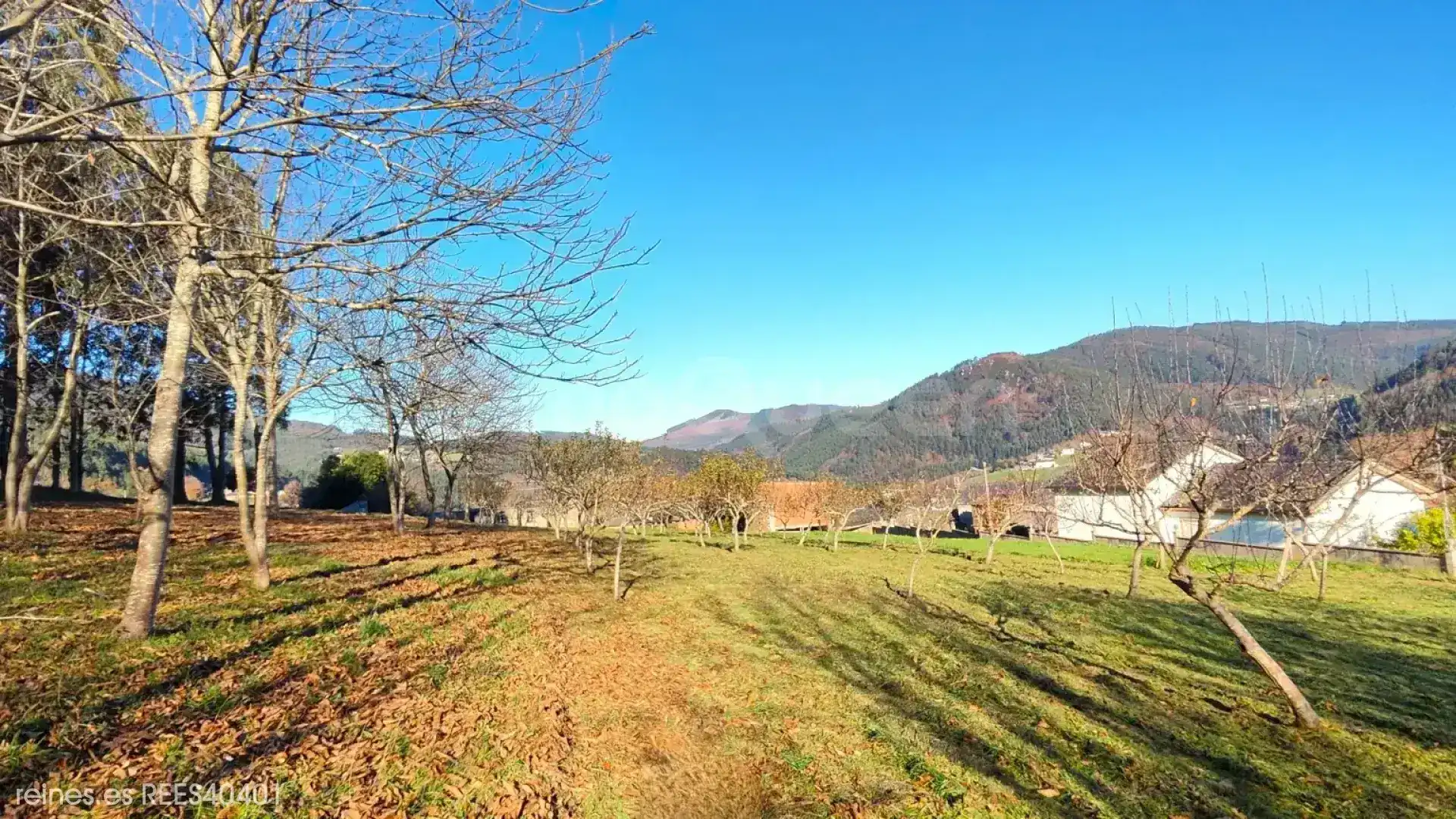 Residencial en venta en A Pontenova  