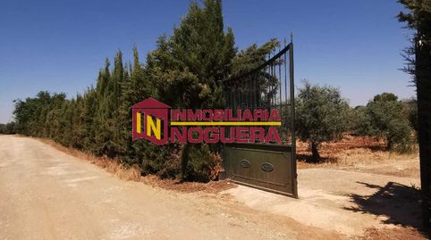 Foto 3 von Grundstücke zum Verkauf in Écija, Sevilla