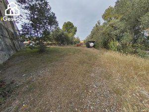 Foto 5 de Finca rústica en venda a Sant Esteve Sesrovires, Barcelona