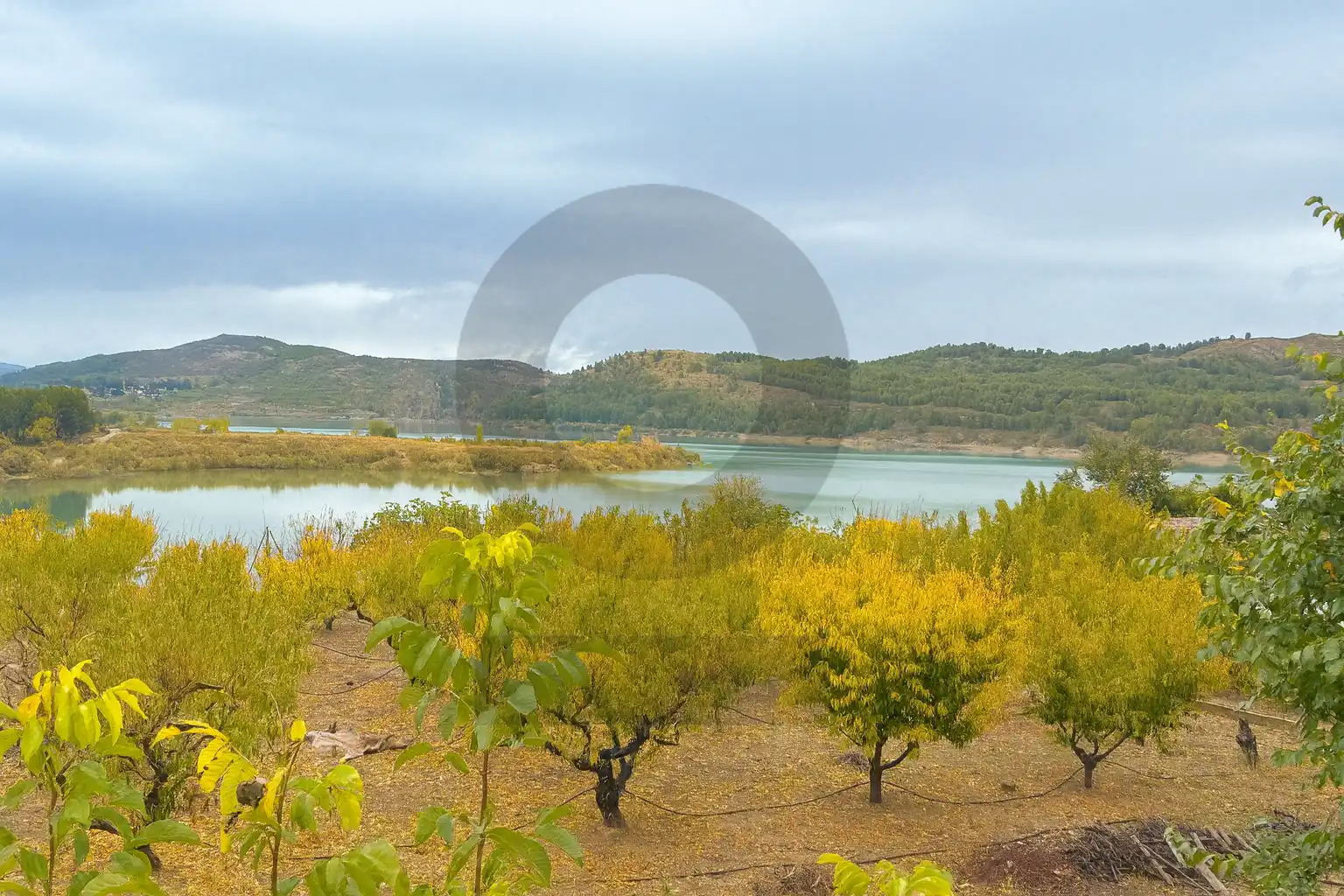 Casa o chalet en venta en Nuévalos con Calefacción, Terraza y Trastero