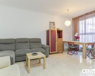 Sala d'estar de Pis en venda en  Granada Capital