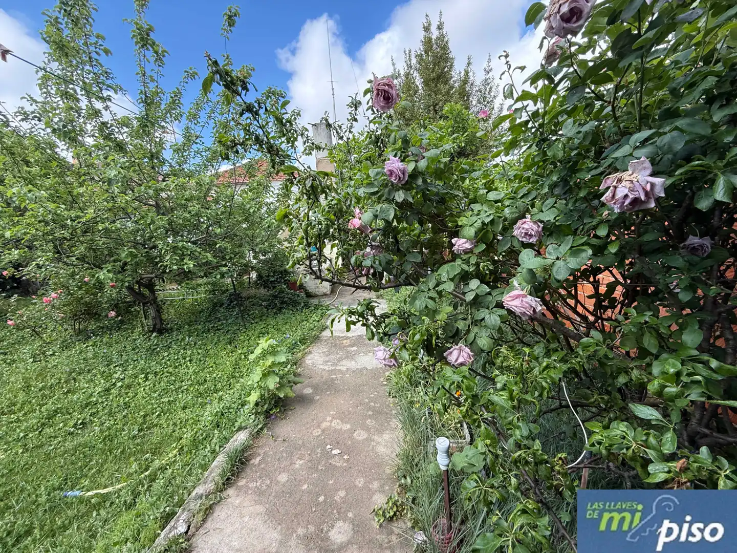 Jardín de Casa o chalet en venta en Valladolid con Jardín privado, Parquet y Terraza