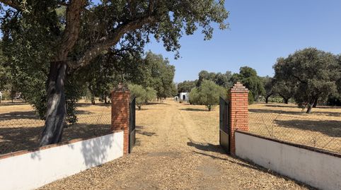 Foto 5 de Finca rústica en venta en Lugar Botoa, 12h, Pedanías de Badajoz, Badajoz Capital
