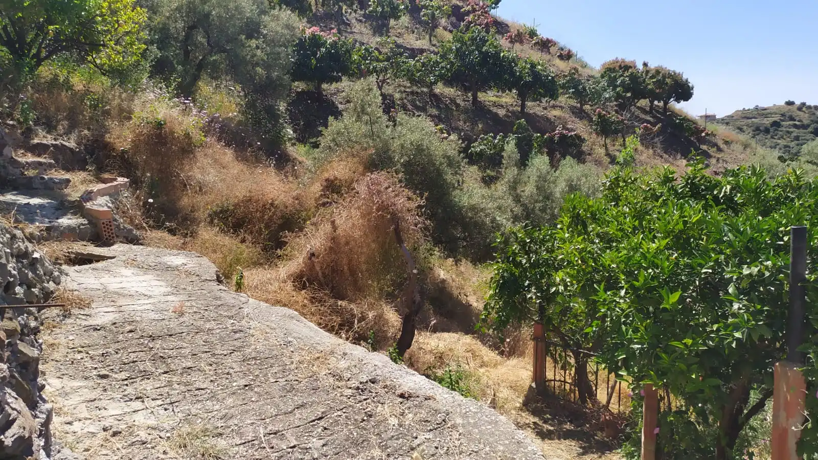 Country house zum Verkauf in Diseminado Pago Carrasco, 3051, Torrox Pueblo
