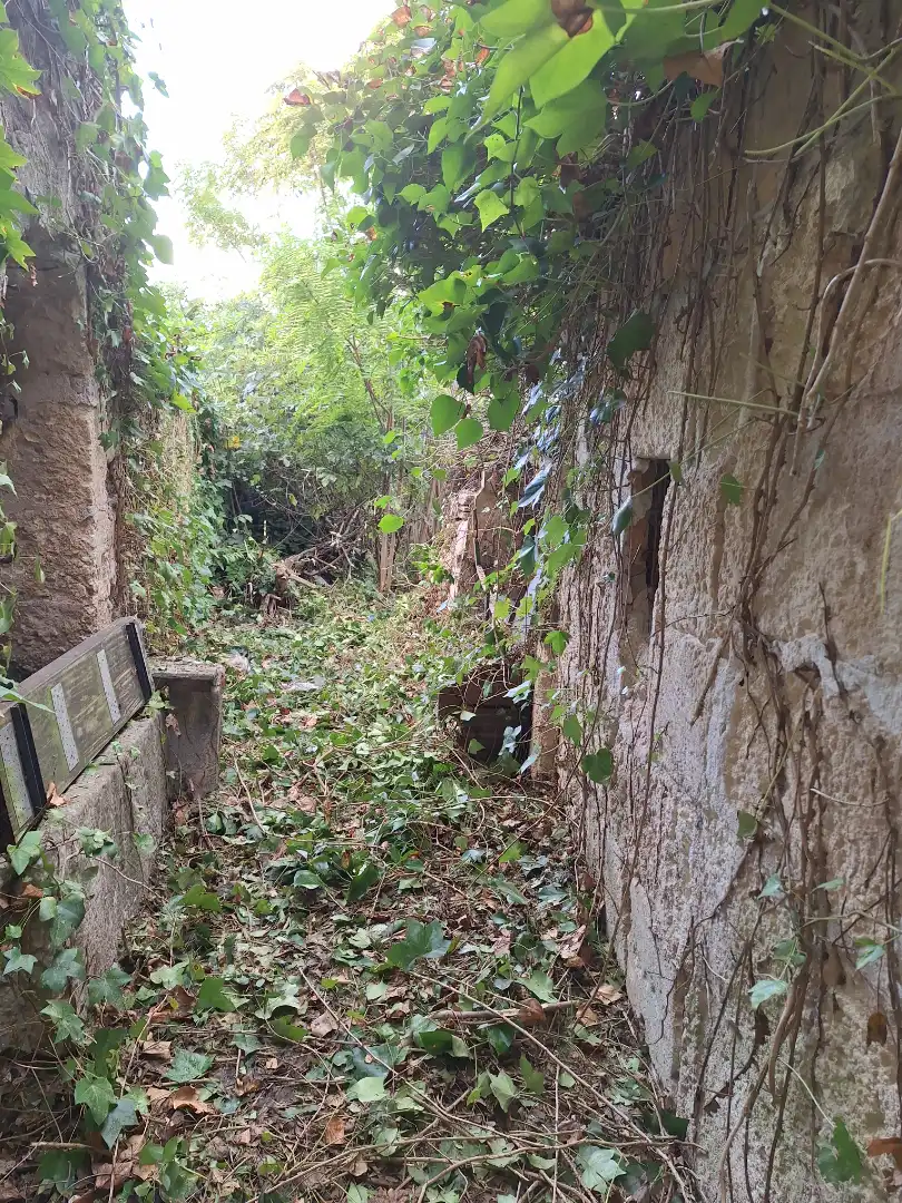 Casa amb jardí en venda a Vilafranca de Bonany, imagen 15