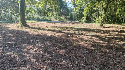 Finca con robles en venta Dodro junto el campo de la fiesta., immagine 2