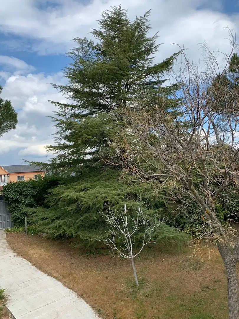Casa amb piscina en venda a Colmenarejo, imagen 20
