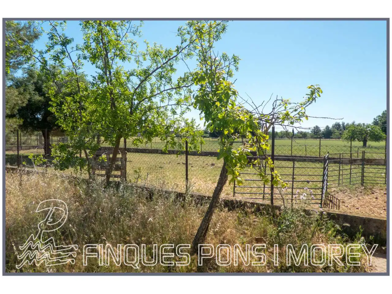 Finca rústica en venda en Campanet