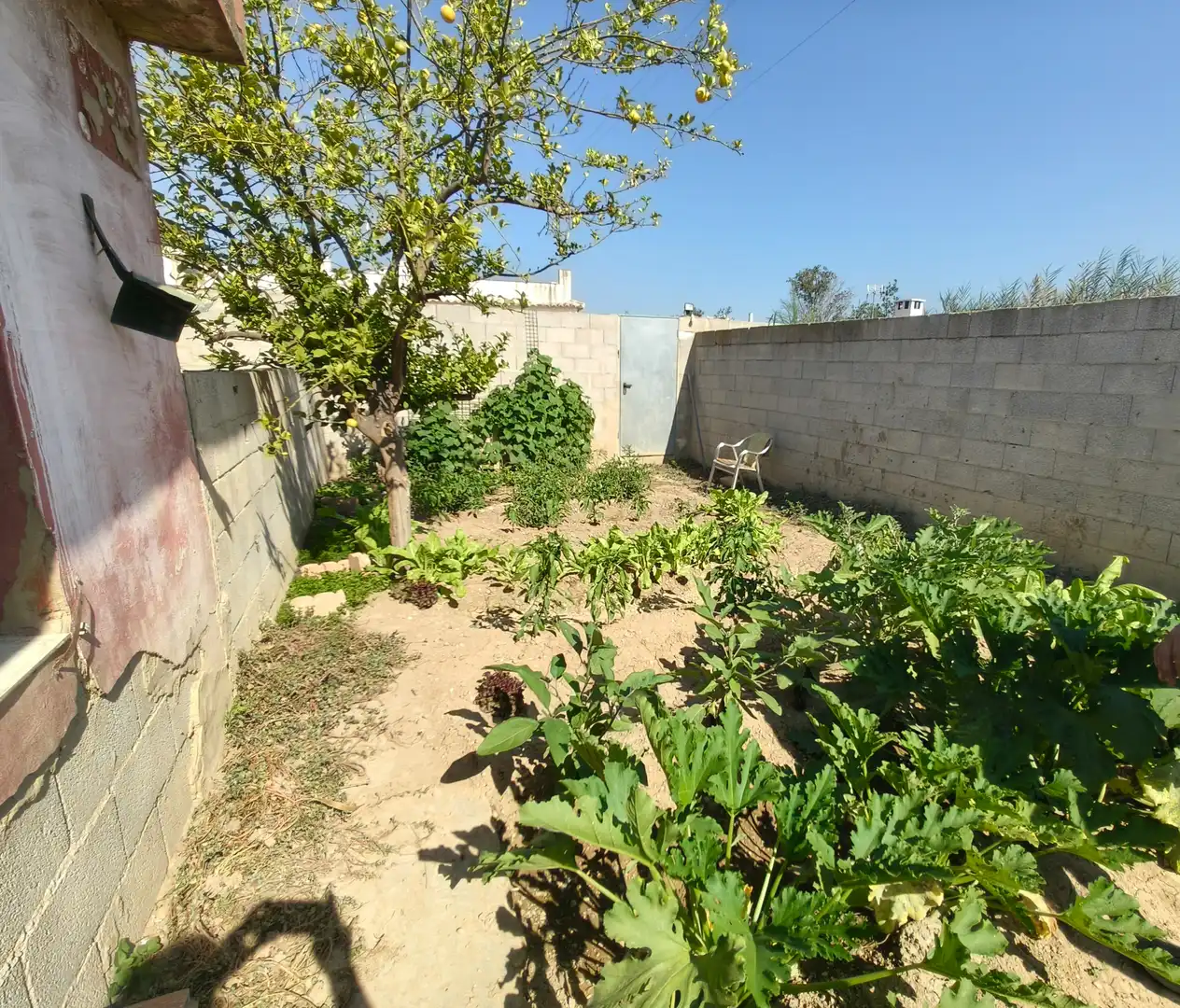 Casa o chalet en venta en Montroi / Montroy con Jardín privado, Terraza y Trastero
