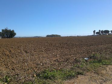 Rural land to rent in Calle las Cabezas de San Juan
