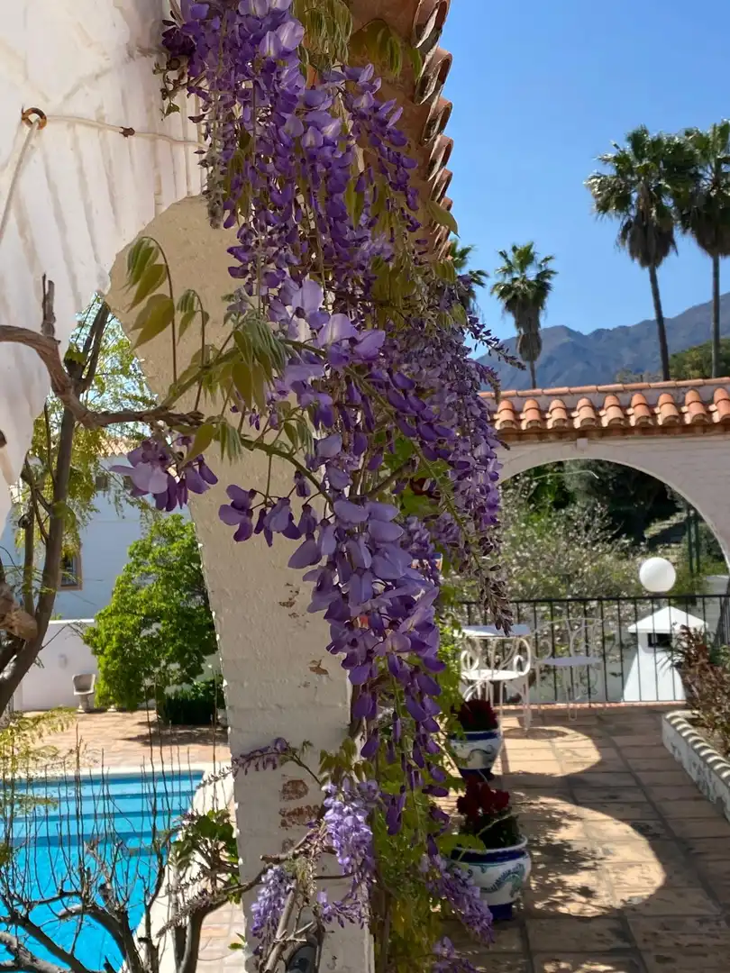 Casa amb piscina en venda a Selwo, imagen 36