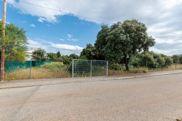 Terreno residencial en Venta en Calle Eucaliptus, 29 en Hontoba