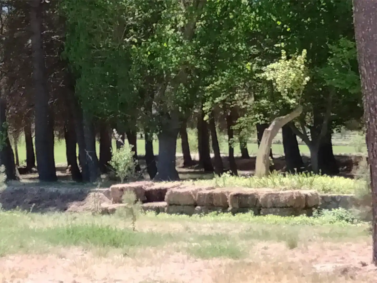 Jardí de Finca rústica en venda en Alcoy / Alcoi amb Piscina i Balcó