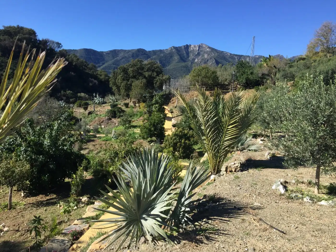 Garten von Country house zum Verkauf in Ojén mit Klimaanlage, Privatgarten und Terrasse