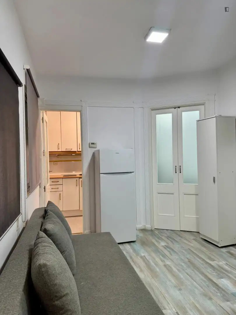 Apartament de lloguer a Ríos Rosas - Nuevos Ministerios