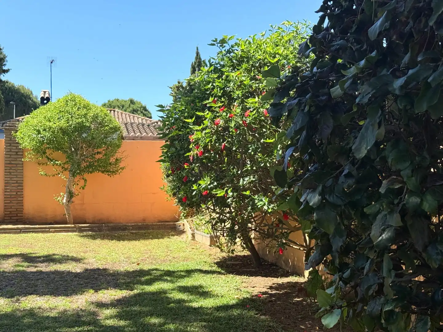 Jardí de Casa o xalet en venda en Chiclana de la Frontera