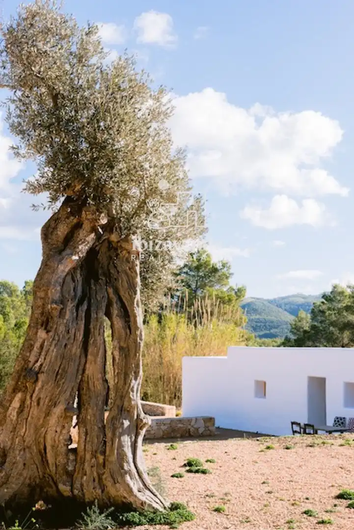 Vista exterior de Casa o chalet de alquiler en Sant Joan de Labritja con Aire acondicionado, Calefacción y Jardín privado