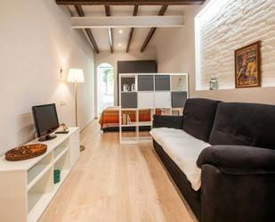 Sala d'estar de Pis de lloguer en  Barcelona Capital amb Moblat, Rentadora i TV