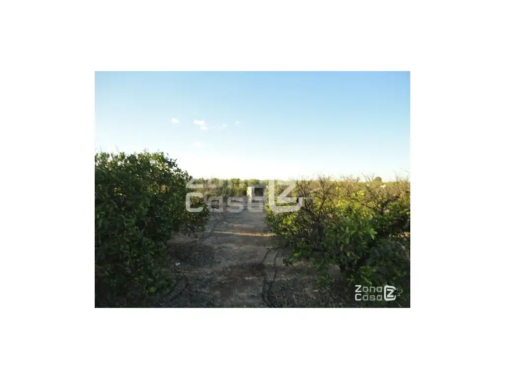 Finca rústica en venda en Benimuslem, Valencia