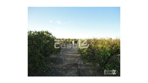 Foto 5 de Finca rústica en venda a Poligono Poligono 3, Benimuslem, Valencia
