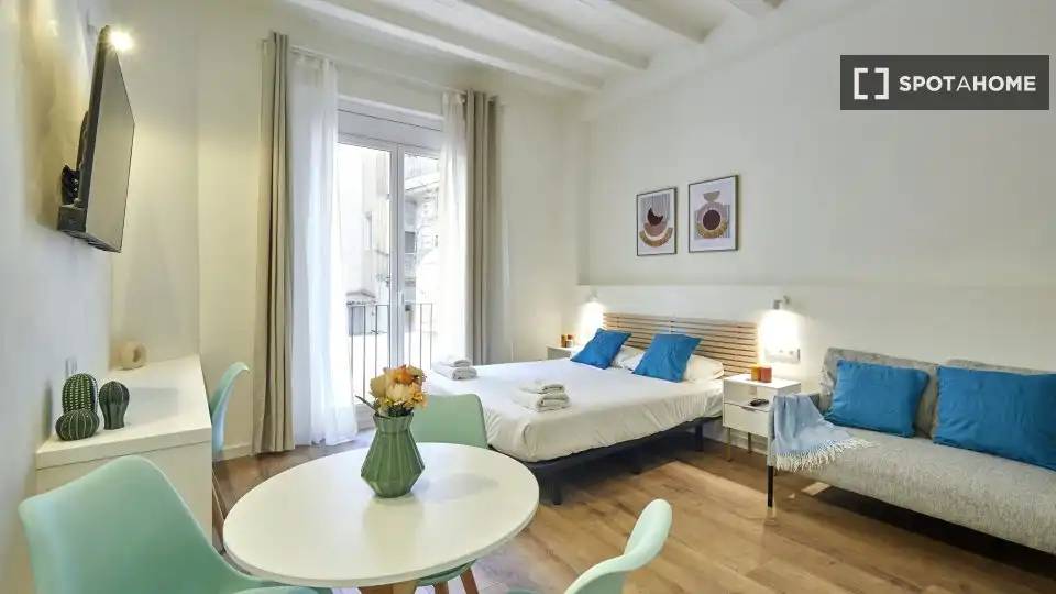 Flat with terrace to rent in Ciutat Vella