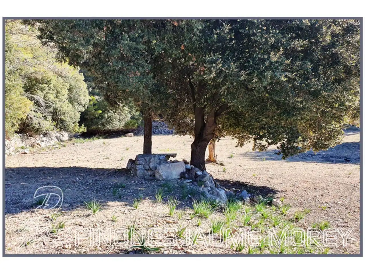 Finca rústica en venta en Mancor de la Vall con Jardín privado y Terraza