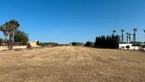 Country house for sale in Catral, imagen 3