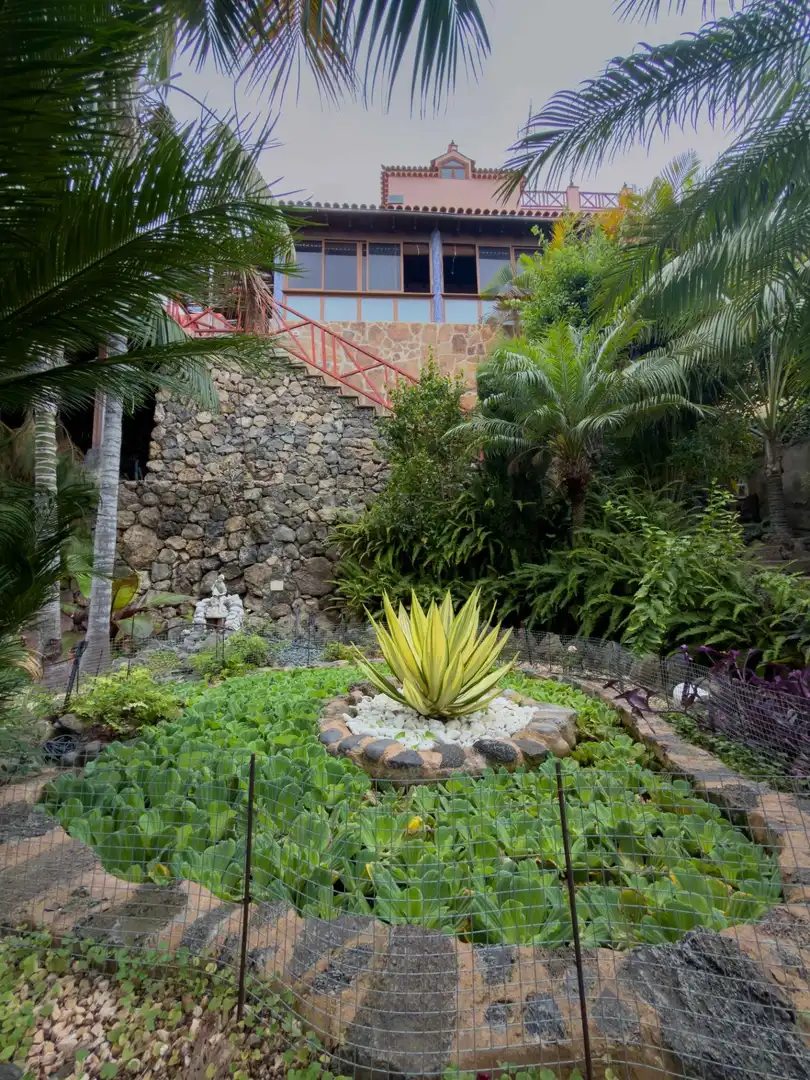 Jardí de Casa o xalet en venda en Icod de los Vinos amb Jardí privat, Terrassa i Traster