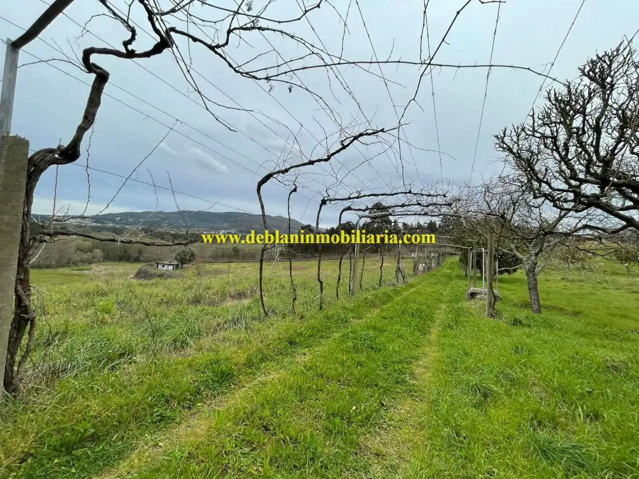 Terreno residencial en venta en Tui, imagen 12