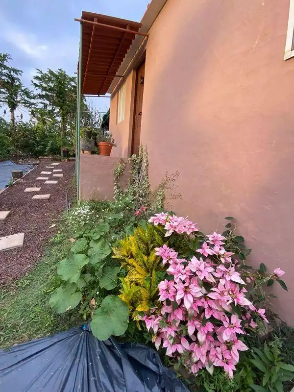 Jardí de Finca rústica en venda en Santa María de Guía de Gran Canaria