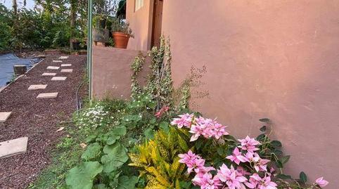 Photo 5 of Country house for sale in Médico Estévez, Santa María de Guía de Gran Canaria, Las Palmas