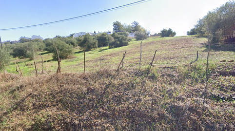 Photo 2 of Industrial land for sale in Doctor Perez Fabra, Algar, Cádiz
