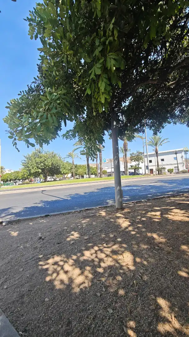 Vista exterior de Piso en venta en Roquetas de Mar con Aire acondicionado, Terraza y Amueblado