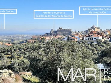 Rural land for sale in Camino Lagartera