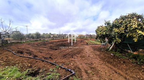 Foto 3 de Finca rústica en venda a Moraleda de Zafayona, Granada