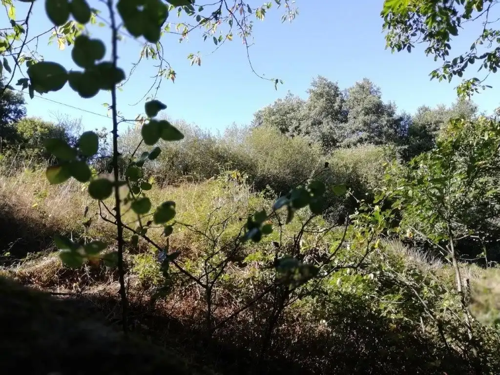 Casa o chalet en venta en Silleda con Jardín privado