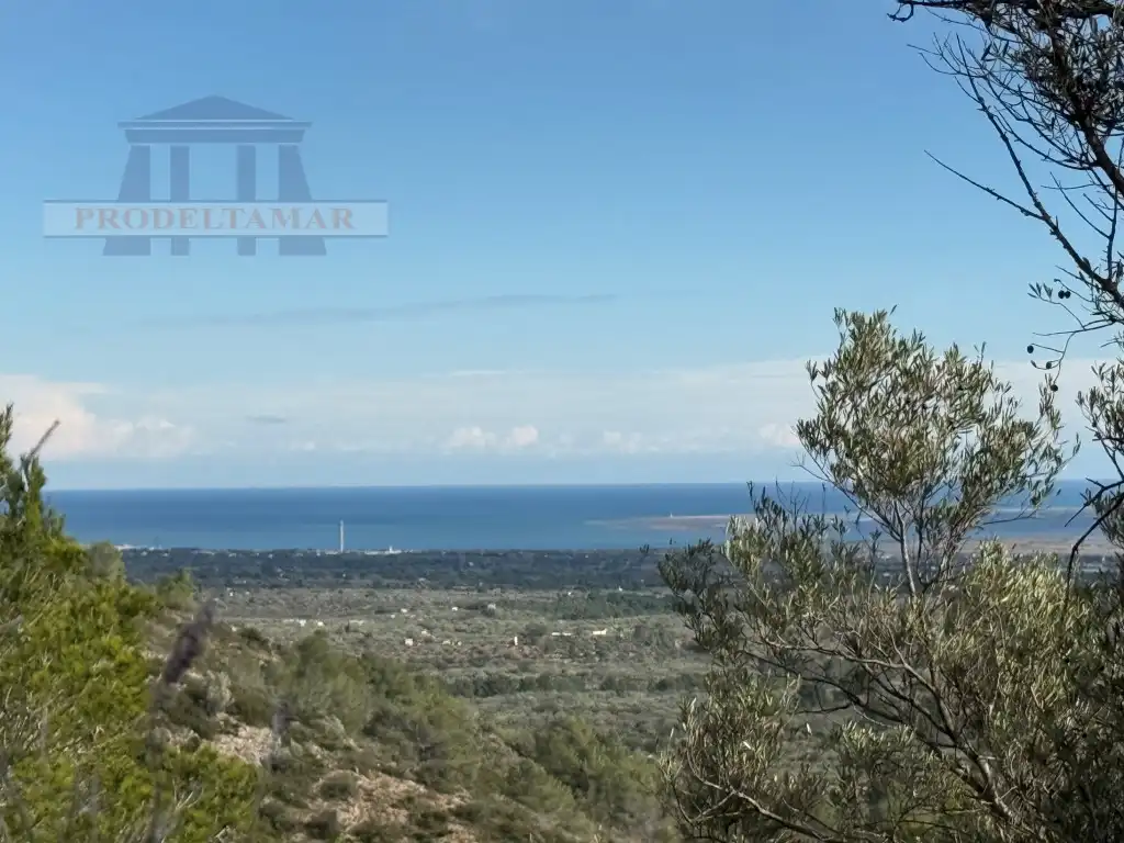 Country house for sale in Poligono 82 Paraje 6 Camp-Redo, imagen 26