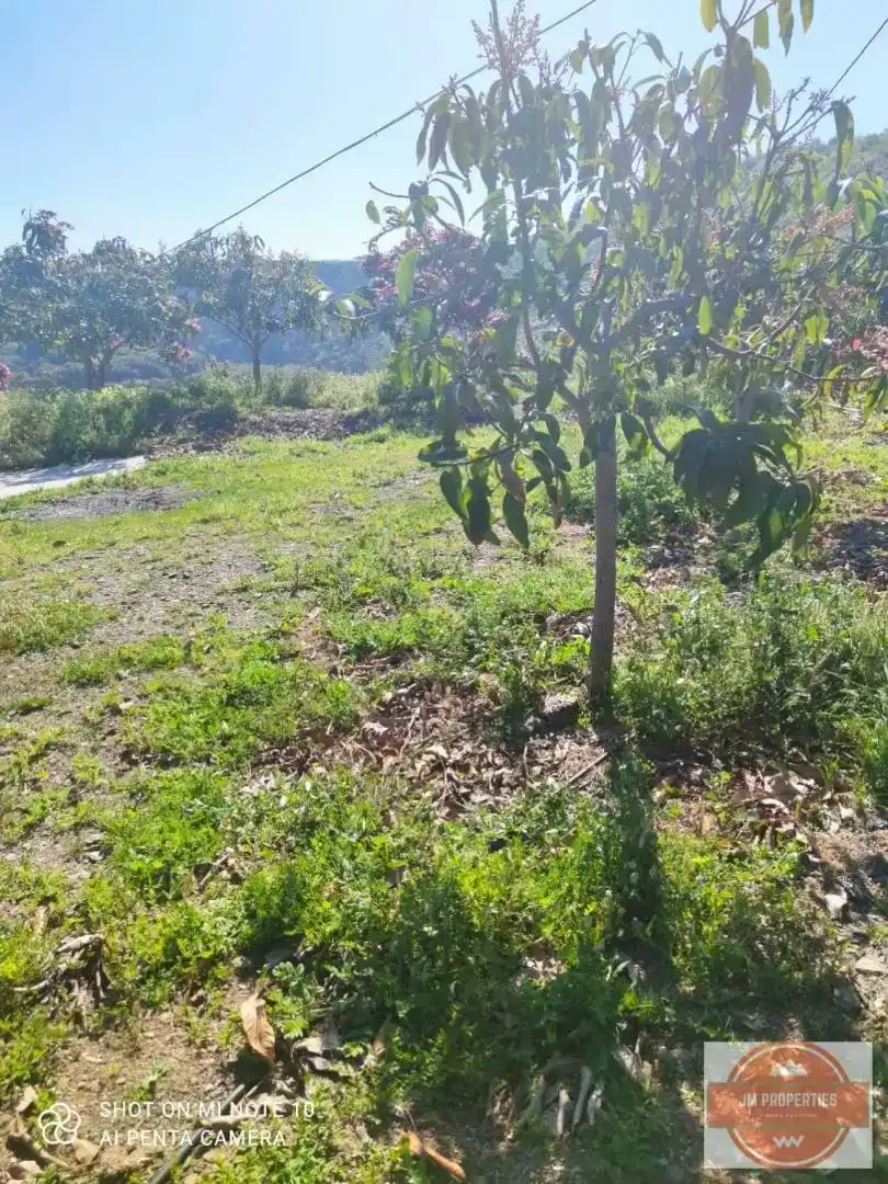 Terreno en venta en Almáchar, Málaga
