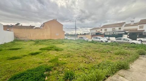 Foto 4 de Residencial en venda a Calle Virgen de Los Dolores, La Hacienda - Nueva Andalucía, Dos Hermanas