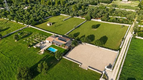 PRECIOSA FINCA MODERNA, immagine 4