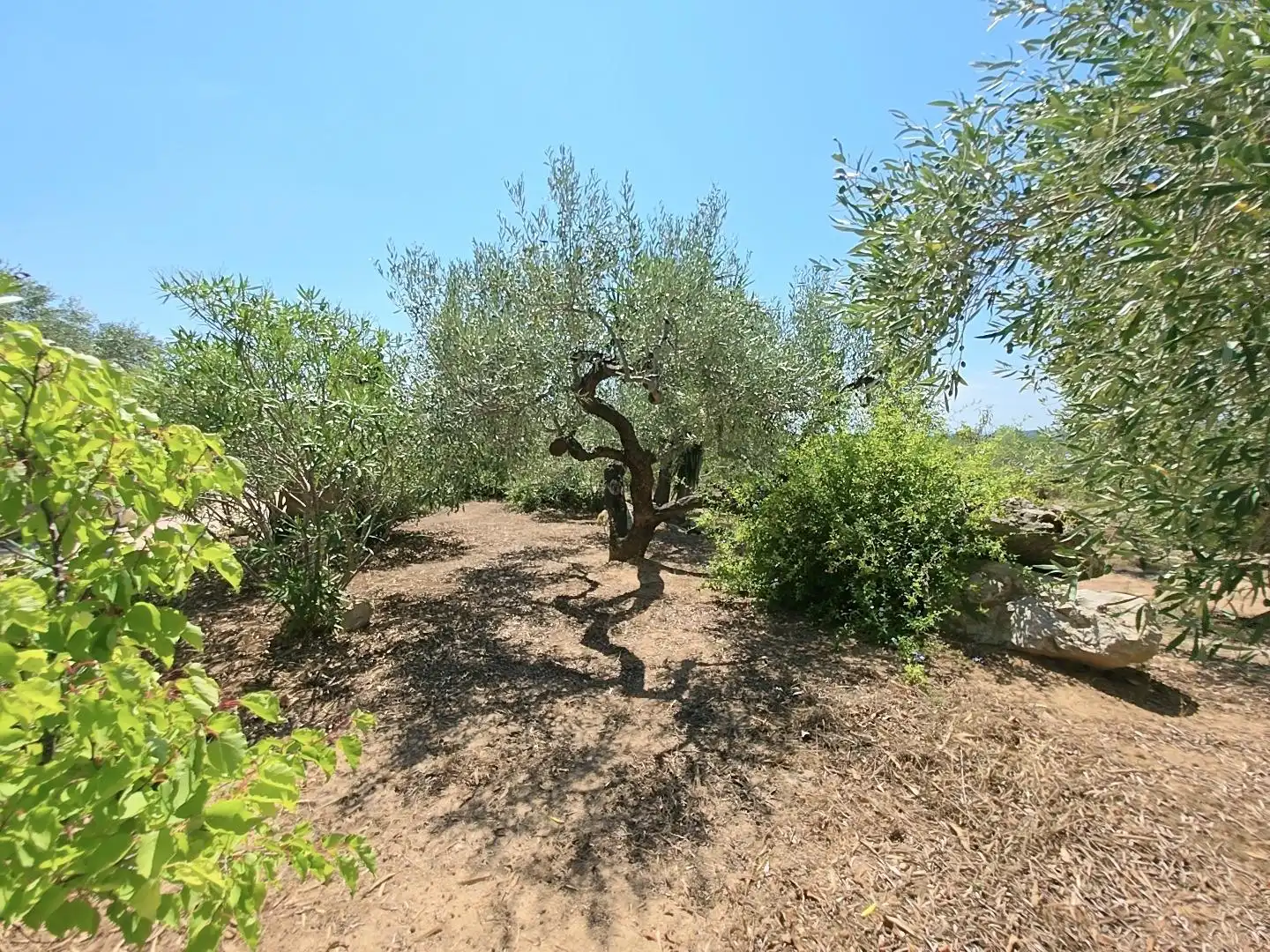 Country house zum Verkauf in L'Ametlla de Mar  mit Privatgarten, Terrasse und Schwimmbad